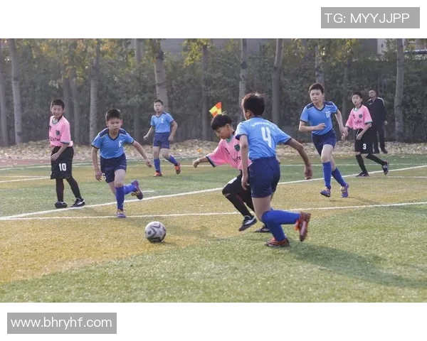 提升青少年足球技能的专业培训学校助力梦想成真